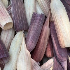 close up out Mexican purple corn husks