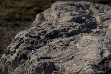 View of a rough, textured boulder.