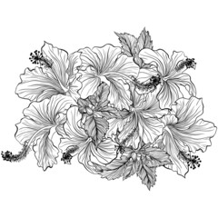 Flower bouquet with hibiscus. Flower composition for decoration of invitations for a wedding, birthday, holiday. Design for coloring book. Vintage hand draw sketch illustration isolated on white
