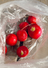 pink radish in a bag on the kitchen table