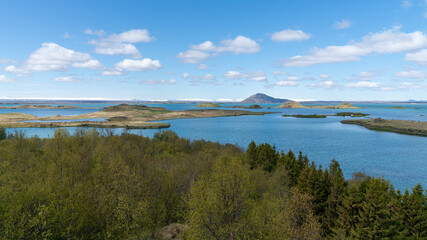 Myvatn Lake landscape in summer, Northern Iceland