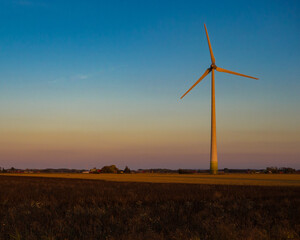 wind turbines in the field