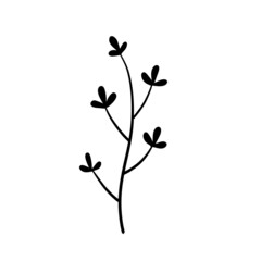 Natural plant. Abstract doodle flower.