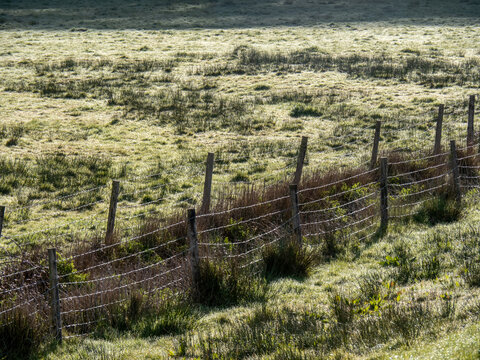 Frosty, dewy fields and drainage channel. Early morning UK.