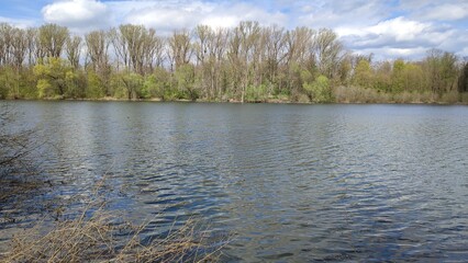 Oberwald See Naturschutzgebiet Karlsruhe