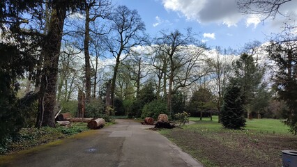 Karlsruhe Schloss und Schlossgarten Frühling