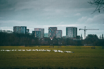 modern city skyline