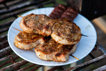 A large variety of grilled meat on the fire outside. Picnic with meat: sausages, pork steak, chicken breast with vegetables. 