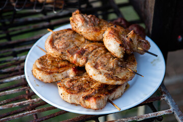 A large variety of grilled meat on the fire outside. Picnic with meat: sausages, pork steak, chicken breast with vegetables. 