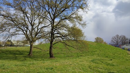 Günther-Klotz-Anlage Karlsruhe