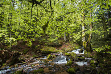 Fototapeta premium La cascade du Rummel est une chute d'eau du massif des Vosges située sur la commune de Lepuix dans le territoire de Belfort.