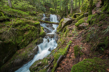 La cascade du Rummel est une chute d'eau du massif des Vosges située sur la commune de Lepuix dans le territoire de Belfort.

