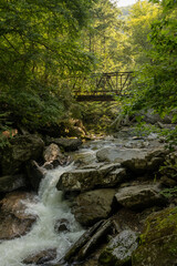 Old Bridge Over Enloe Creek