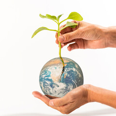 root introduced into the planet, wrapped by hands, copy space, white background, earth day concept, square