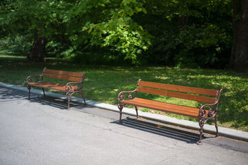 Wooden benches in the city park without a people. Green meadow and trees as backdrop.