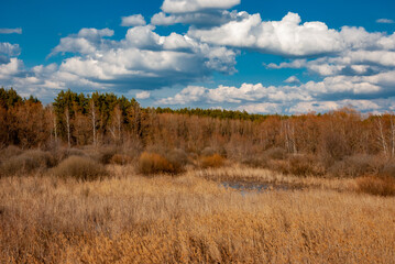 Obraz premium A sunny April day in Samarskaya Luka National Park!