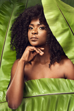 Green Beauty Is Clean Beauty. Shot Of A Beautiful Young Woman Covering Herself With A Plant.