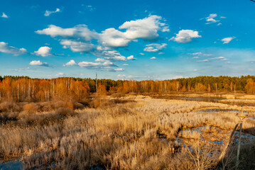 A sunny April day in Samarskaya Luka National Park!