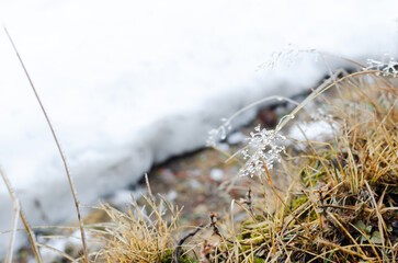 Ice crust on the grass. Spring in the mountains. Beautiful texture of frozen drops on the branches. Horizontal orientation. Selective focus. copy space.