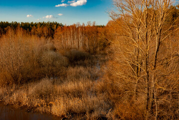 A sunny April day in Samarskaya Luka National Park!