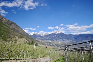 Fototapeta premium Etschtal im Vinschgau