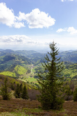 Fototapeta na wymiar Germany Belchen Mountain View