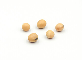 soybean seeds isolated on white background