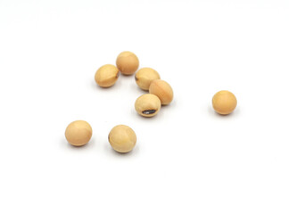 soybean seeds isolated on white background