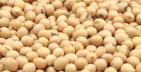 Close-up shot on a background of a pile of dried soybeans. for product advertisement