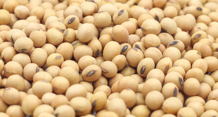 Close-up shot on a background of a pile of dried soybeans. for product advertisement