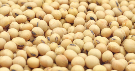 Close-up shot on a background of a pile of dried soybeans. for product advertisement
