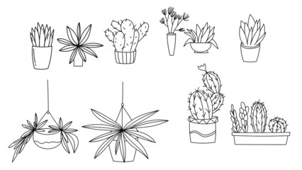 Set cactus hand drawn lines .isolated on white background ,Vector illustration EPS 10
