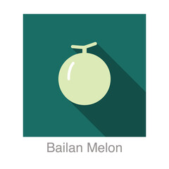 Bailan melon fruit flat icon, vector illustration