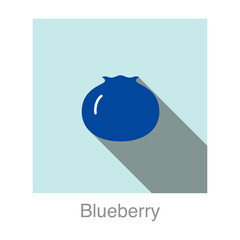 Blueberry fruit flat icon, vector illustration