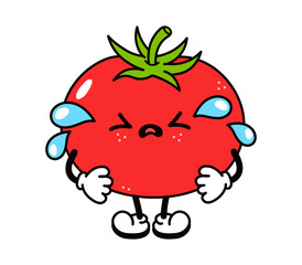 Cute funny crying sad tomato character. Vector hand drawn traditional cartoon vintage, retro, kawaii character illustration icon. Isolated on white background. Cry tomato character concept