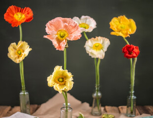 Mohnblume in kleinen Vasen, Islandmohn dekoriert