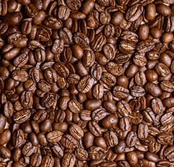 coffee beans on a whole background