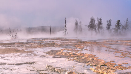 Amazing texture of the thermal grounds in yellowstone. The texture was focused