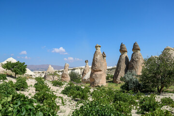 group of fairy chimneys in monks valley in a sunny day of summer