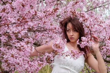 Fototapeta premium sensual, seductive, portrait of a sexy, young woman in white dress in pink flower tree blossoms in early april spring awakening