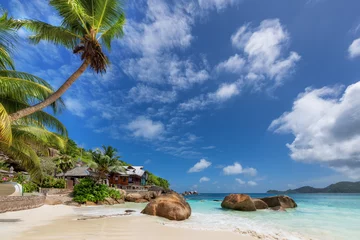 Papier Peint photo Le Morne, Maurice Palm trees in tropical sunny beach resort in Paradise island, Mahe, Seychelles