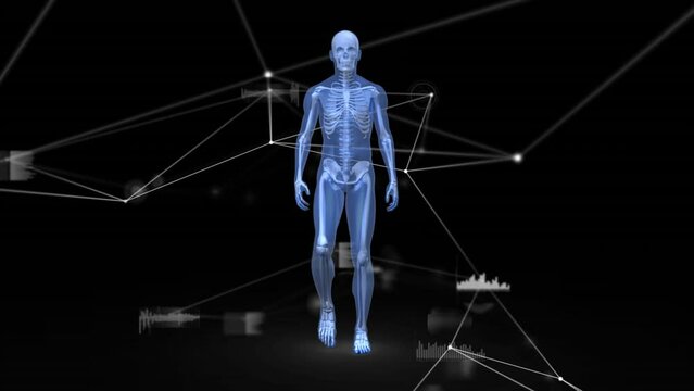 Animation of network of connections and data processing over human body model