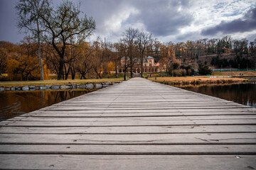 Fototapeta premium A wonderful spring begins and the sun shines in the Prague tree