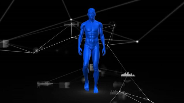 Animation of network of connections and data processing over human body model