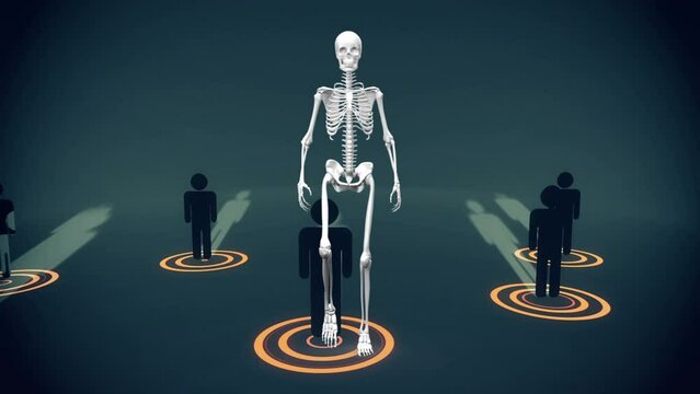 Animation of network of connections and human representation over human body model