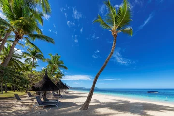 Photo sur Aluminium Le Morne, Maurice Palm trees in tropical sunny beach resort in Paradise island.