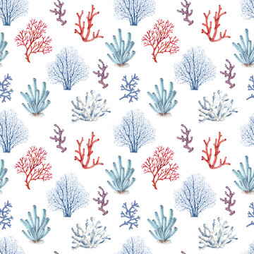 pattern with sea blue and pink corals on white background, watercolor illustration, hand painted in nautical style.