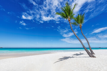 Paradise beach. Coco palms in tropical white sand beach and the turquoise sea on Caribbean sea,...