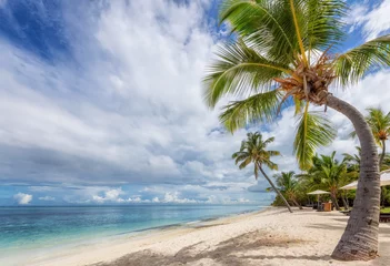 Crédence de cuisine en verre imprimé Le Morne, Maurice Palmiers dans une station balnéaire tropicale ensoleillée sur l& 39 île paradisiaque.