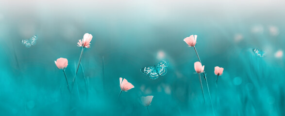 Pink wild flowers and butterflies. Spring summer background. Banner format. - 498135282